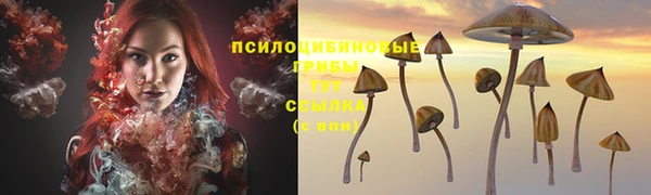 спиды Михайлов
