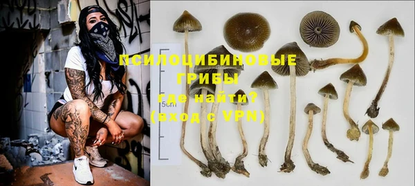 спиды Михайлов